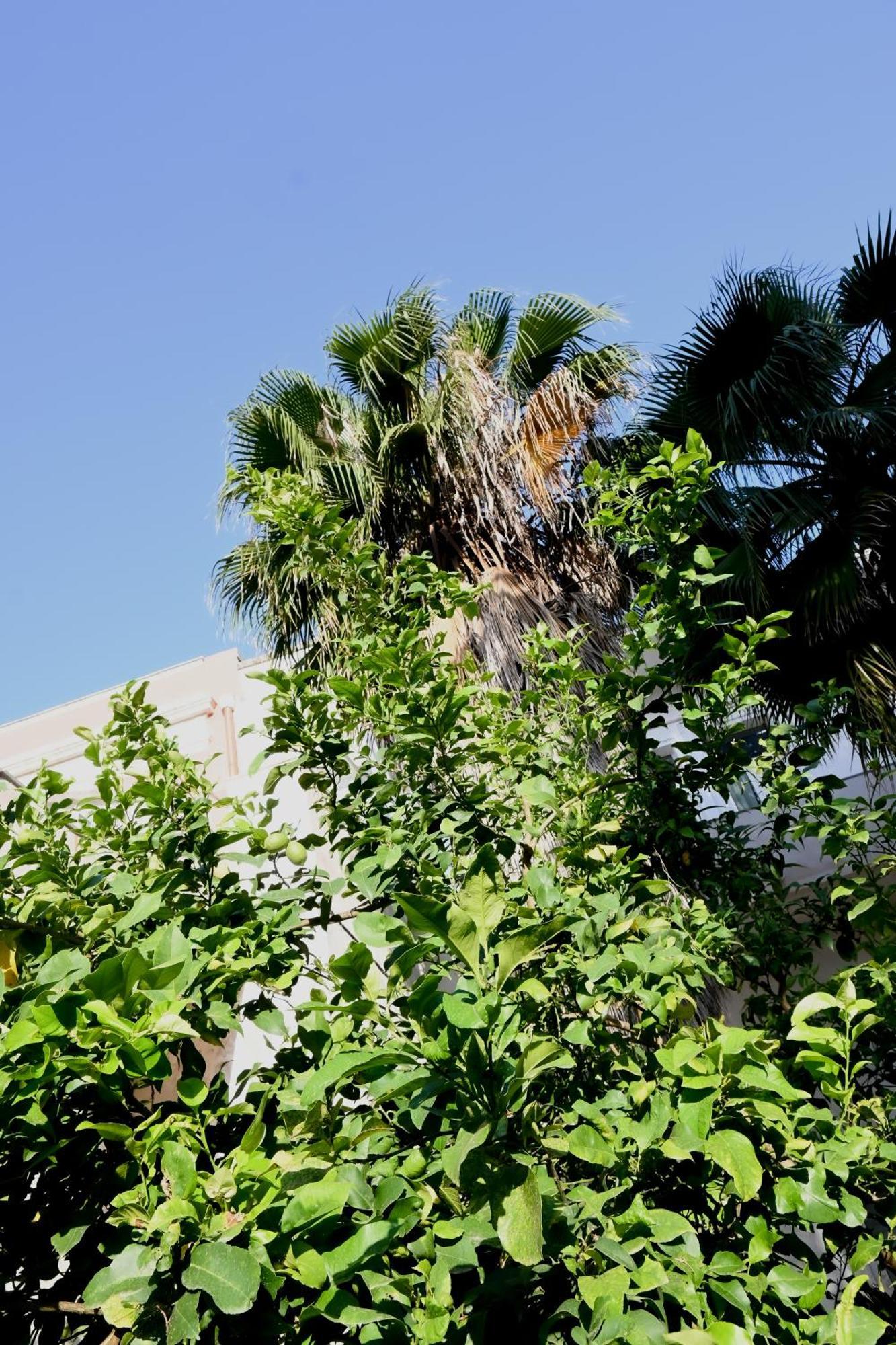 Fatata Suites Lecce Kültér fotó